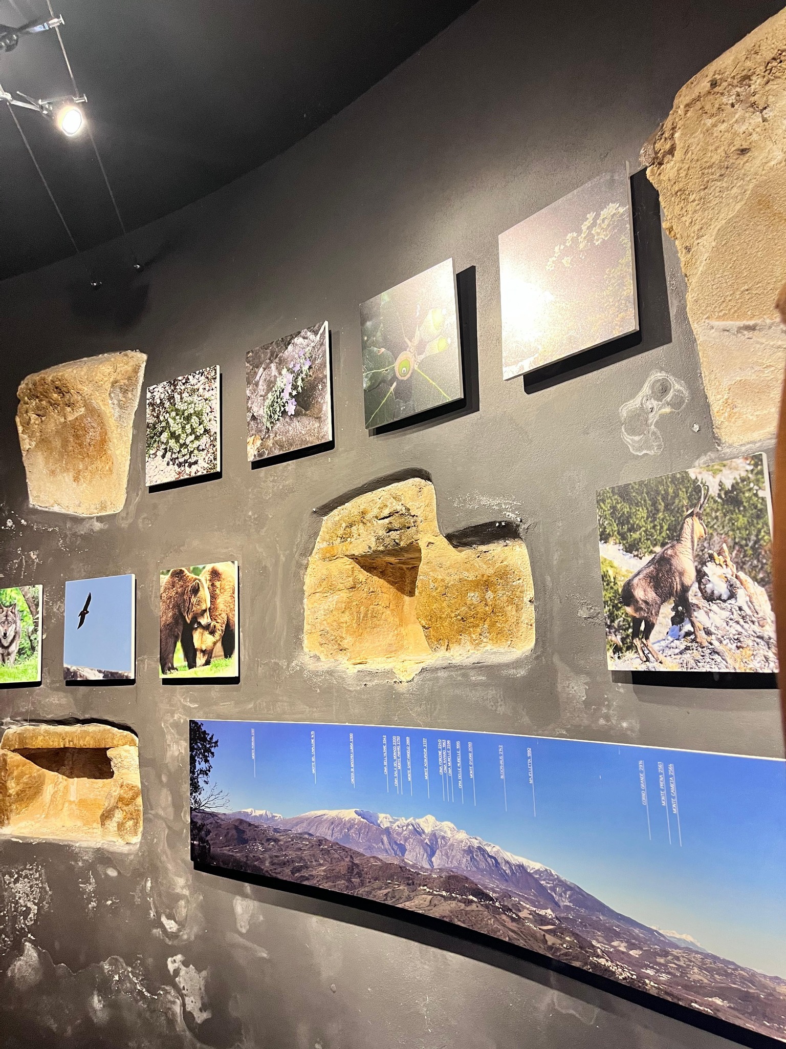 Una giornata alla scoperta delle Grotte del Cavallone .... e del nostro Abruzzo. 110